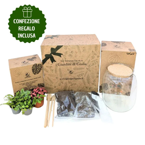 Kit Terrarium medio con Piante Vere e Confezione Regalo