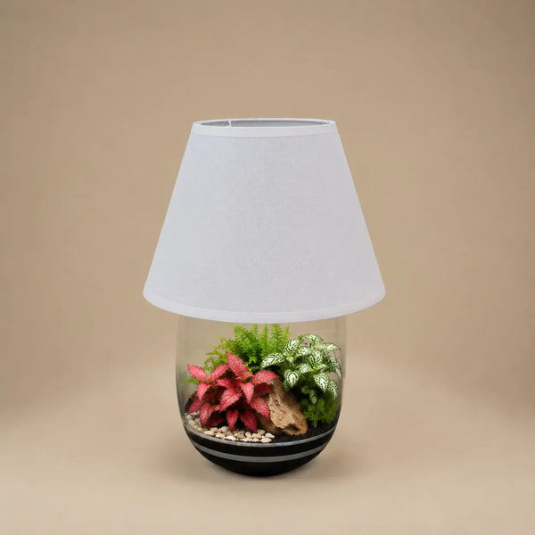 Terrarium Lamparium Oasi Lux élégant