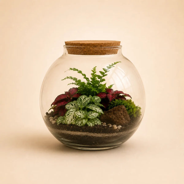 Terrarium Anime con piante verdi