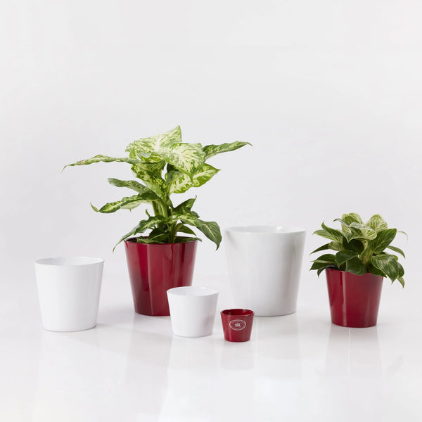Vaso "Dallas" in ceramica bianca lucida D.13 H.13 cm