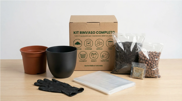 Kit Rinvaso completo per Piante da Interno con Coprivaso – Ø20 cm
