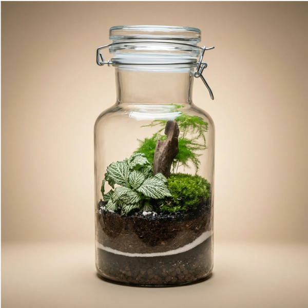 Terrarium Verde Armonia