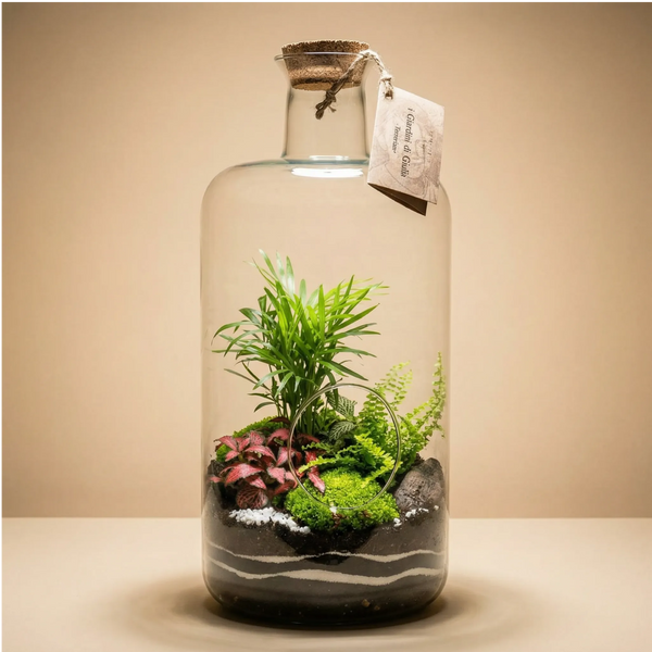 Terrarium Verde Carlotta