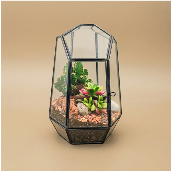Terrarium geometrico Emma con piante grasse