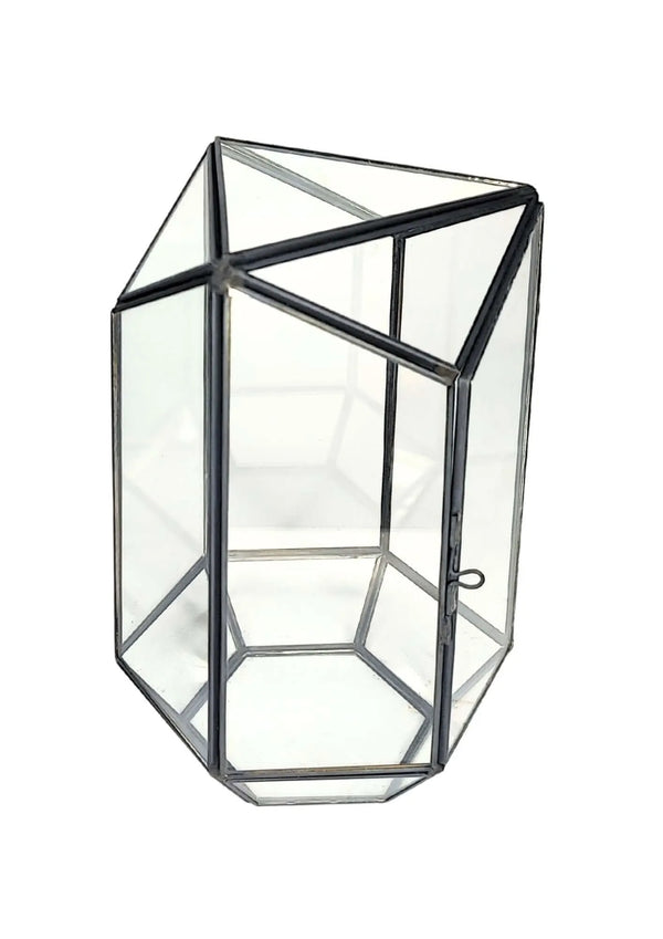 Terrarium geometrico Eden di Vetro 2TR064