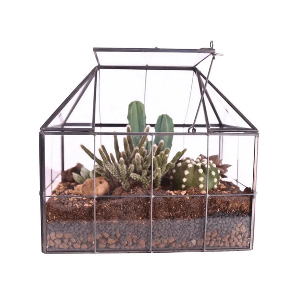 Terrarium Serra con Piante Grasse 061G