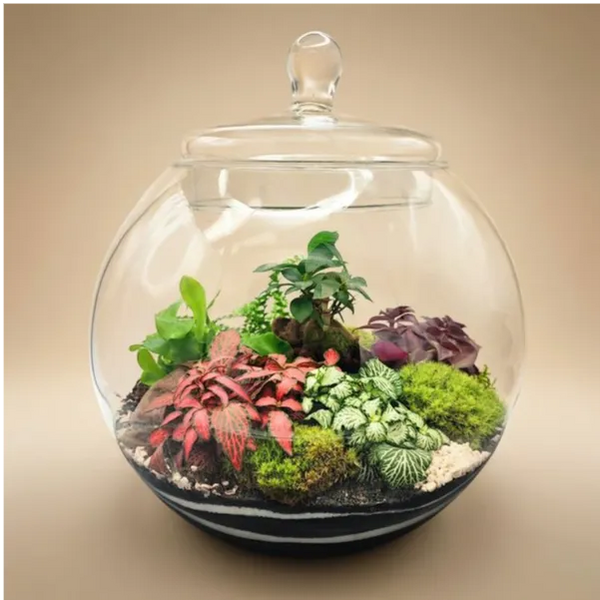 Terrarium Ines con piante verdi