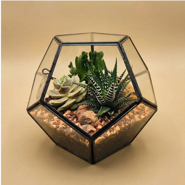Terrarium geometrico Zoe con piante grasse