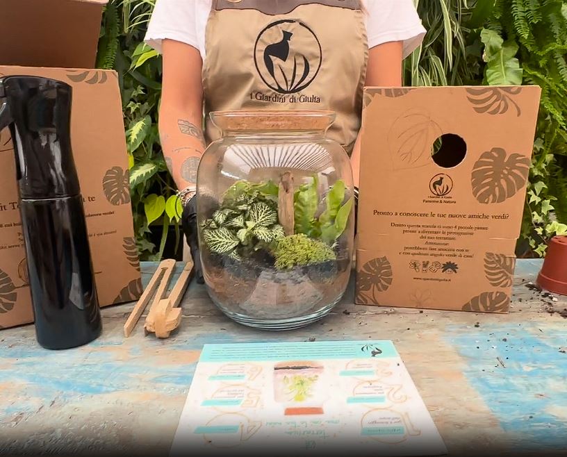 Benefits of Green Plant Terrariums: Why Create Your Own Mini Garden