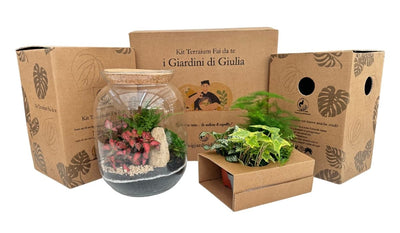 Terrarium Fai Da Te: La Guida Completa (2026)