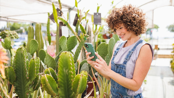 Common Problems with Succulents: Identifying, Preventing, and Solving Every Difficulty [Practical Guide 2025]