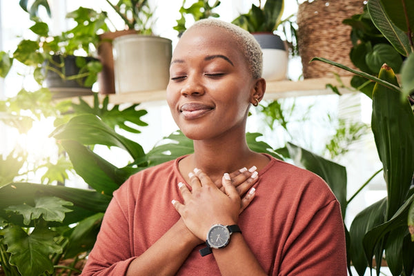 Air-Purifying Plants: The Perfect Sets for Home and Office That Improve Health and Well-being