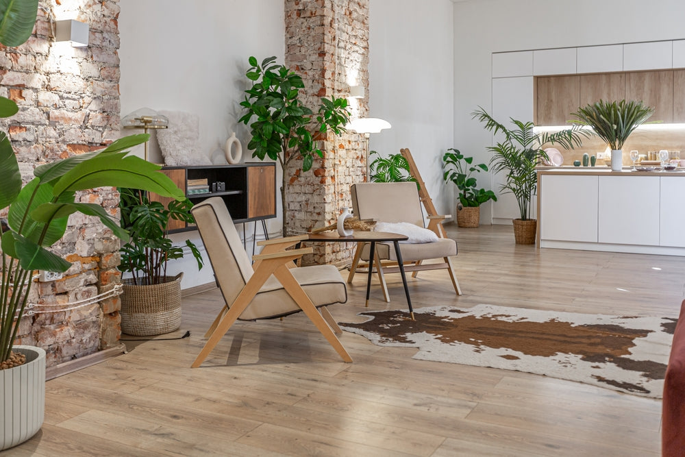 Best Indoor Plants 2025: How to Create Your Perfect Home Garden