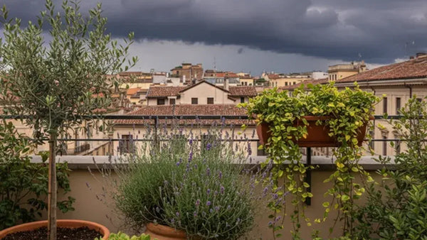 Allarme temporale estremo: come proteggere piante di terrazzo, giardino e veranda (e cosa fare dopo)
