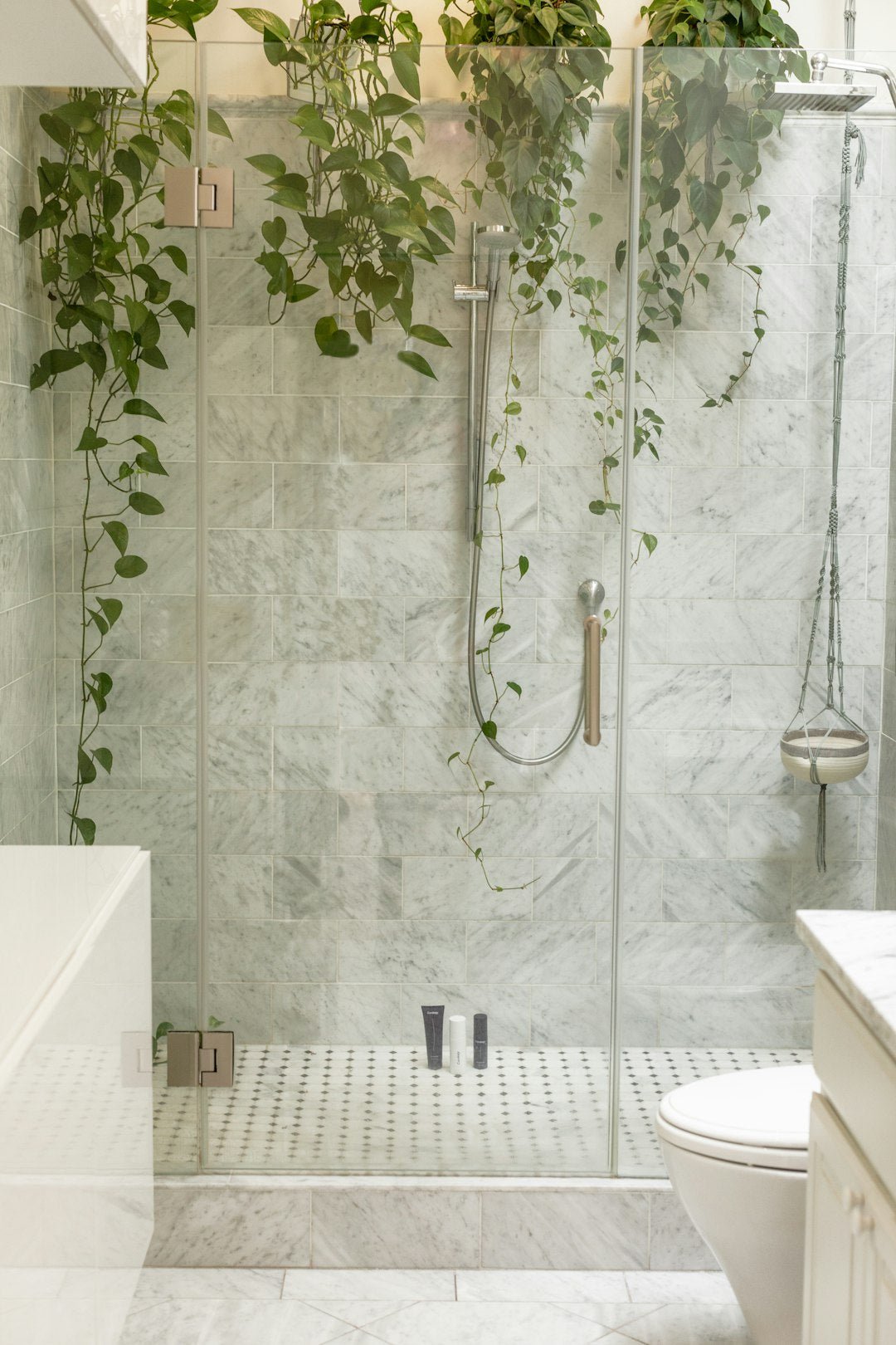 Decorating the Living Room with Decorative Plants: The Green Touch for Your Home