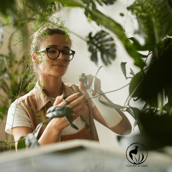 Office Plant Care Guide: Your Greenery in a Workspace