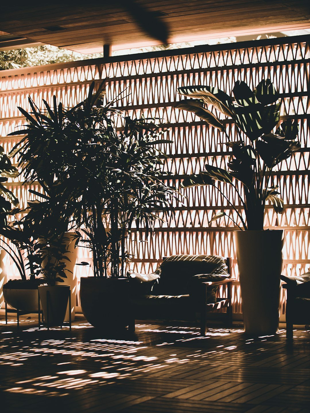 The Importance of Plants in Interior Spaces: Transform Your Home into a Green Paradise