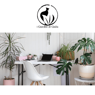 Plants That Improve Your Work-From-Home Productivity