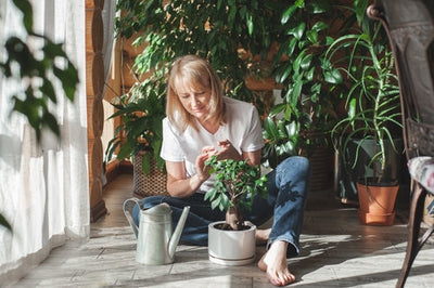 Piante da Appartamento per Arredare: Design Biofilico 2025