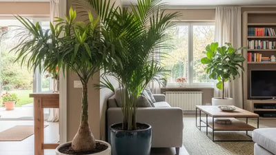 Piante di ottobre per ingresso e soggiorno: 8 scelte che ridisegnano casa prima dell'inverno