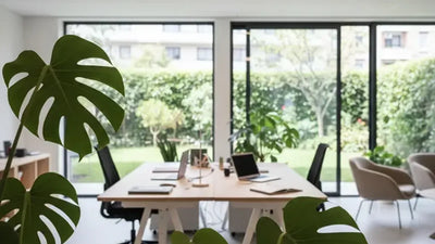 Piante negli ambienti di lavoro: perché contano davvero e come scegliere quelle giuste