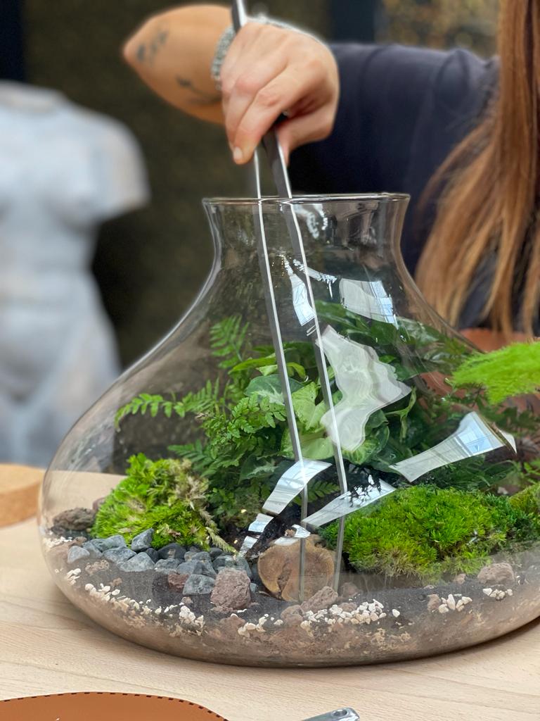 Everything you need to know about terrarium kits: A complete guide to creating your own slice of nature at home