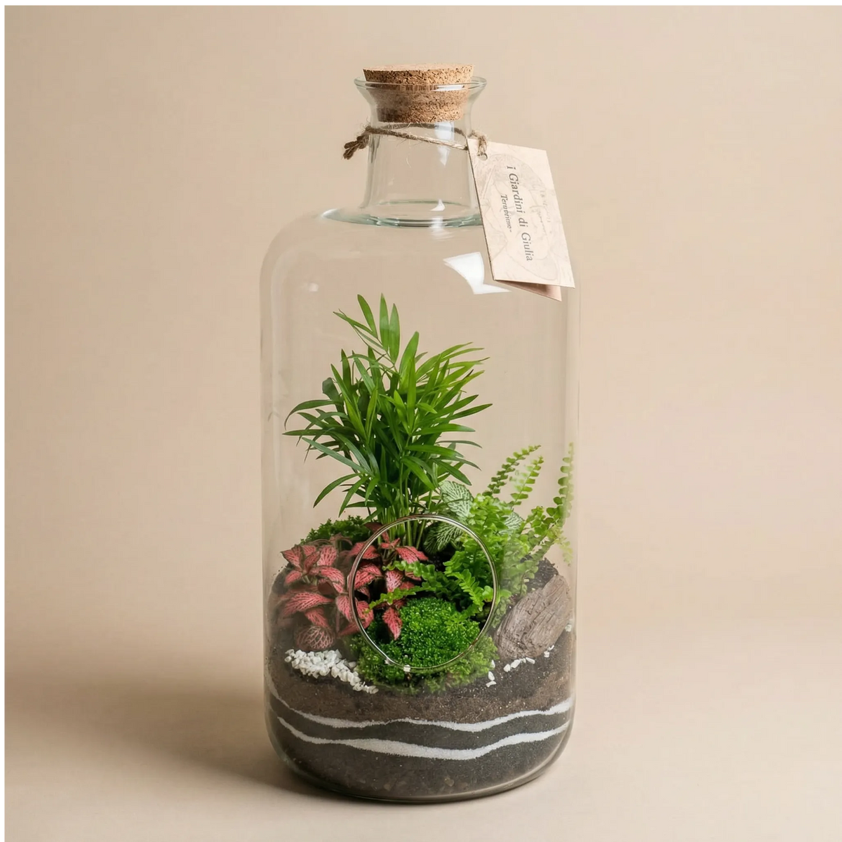 Terrarium bottiglia Alba 19x43cm con palma, fittonia rosa, felce e muschio, tappo sughero