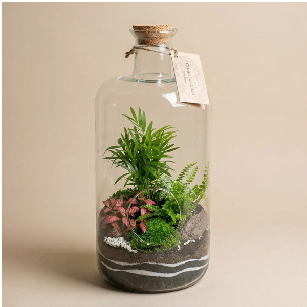 Terrarium Alba