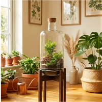 Terrarium bottiglia Alba in angolo verde con piante, vasi terracotta e annaffiatoio rame