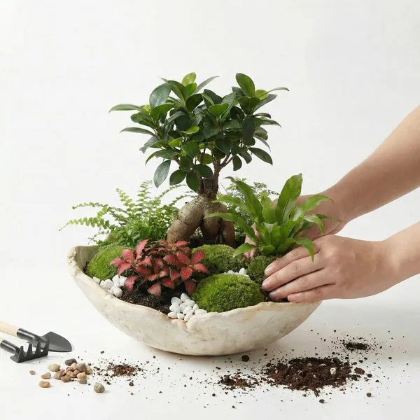 Kit Terrarium Fai da Te Geo Terrarium - fasi di assemblaggio del terrarium con le mani che posizionano le piante