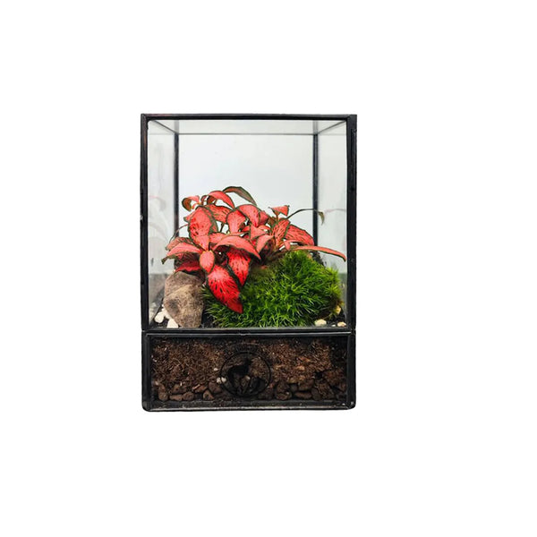 Terrarium Piccolo Eden
