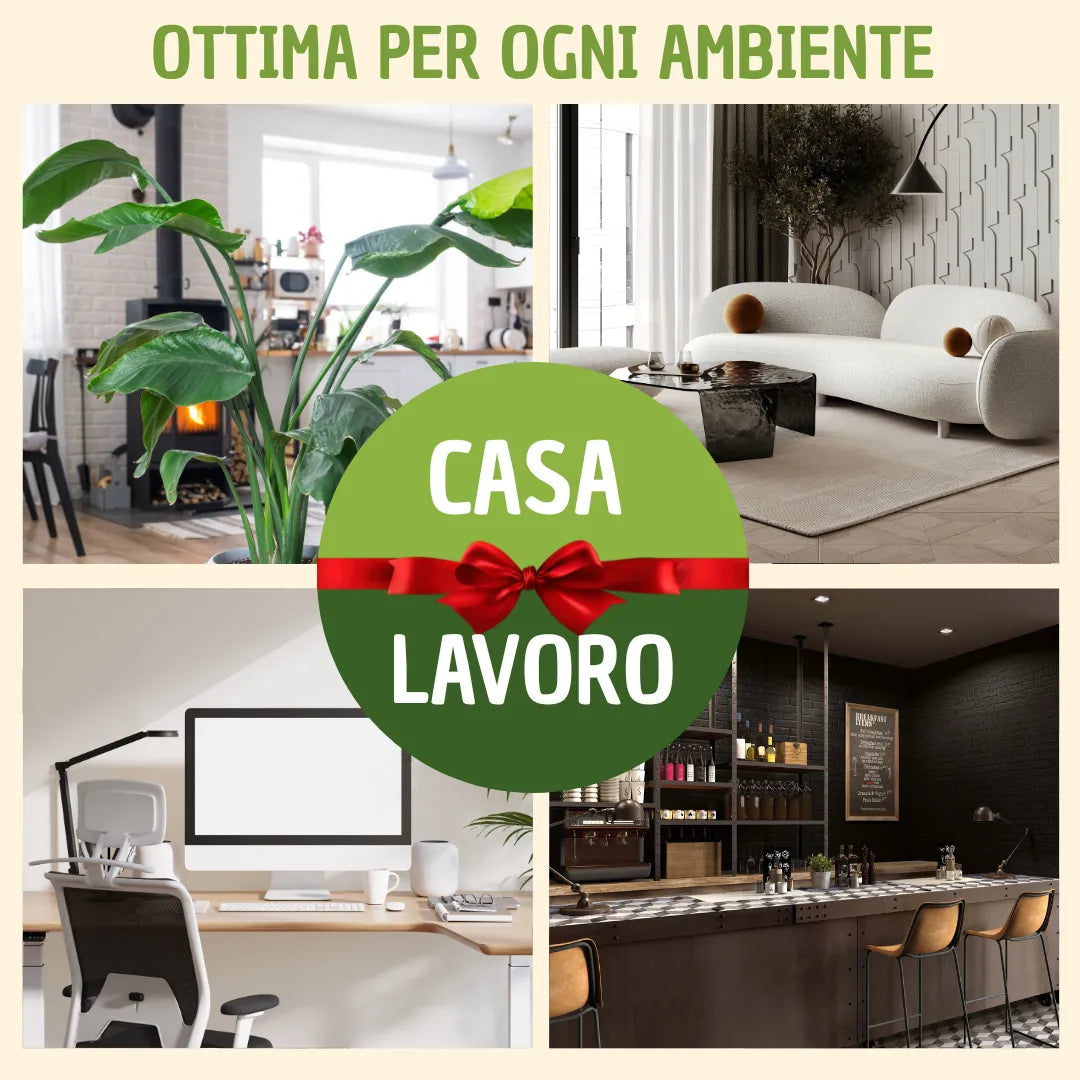 Quadro tondo mini di muschi e licheni stabilizzato con scatola regalo