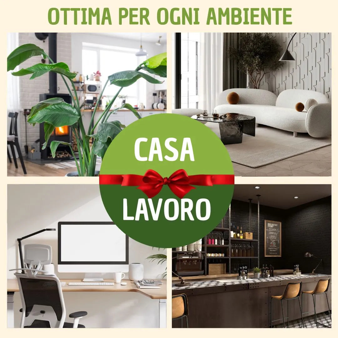 Quadro rettangolare 30X40 cm di muschi e licheni stabilizzato con scatola regalo