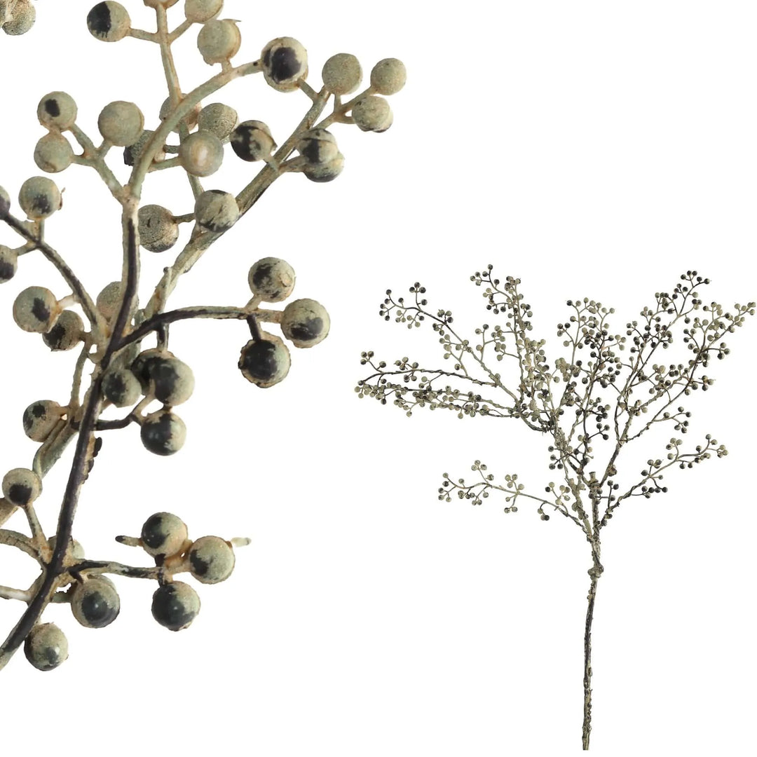 berry plant grey peral berries Spray - i Giardini di Giulia  