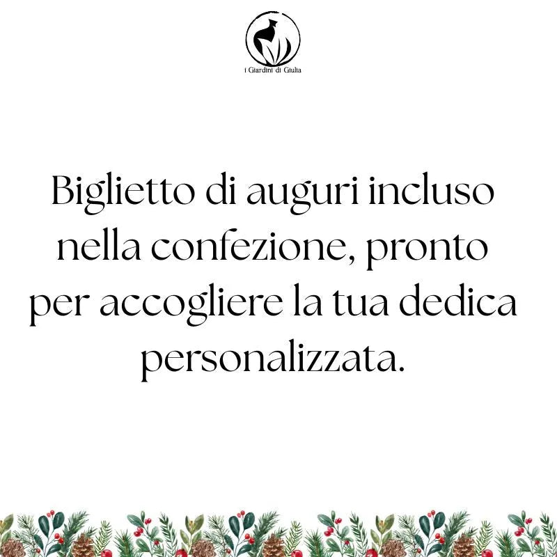 Bonsai Ficus Retusa S-Shape con scatola regalo