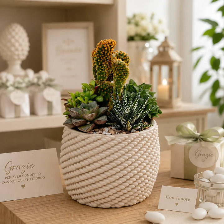 Bomboniera ecologica con composizione di cactus e piante grasse in vaso artigianale Carina, presentata su tavolo decorato per matrimonio o evento speciale.