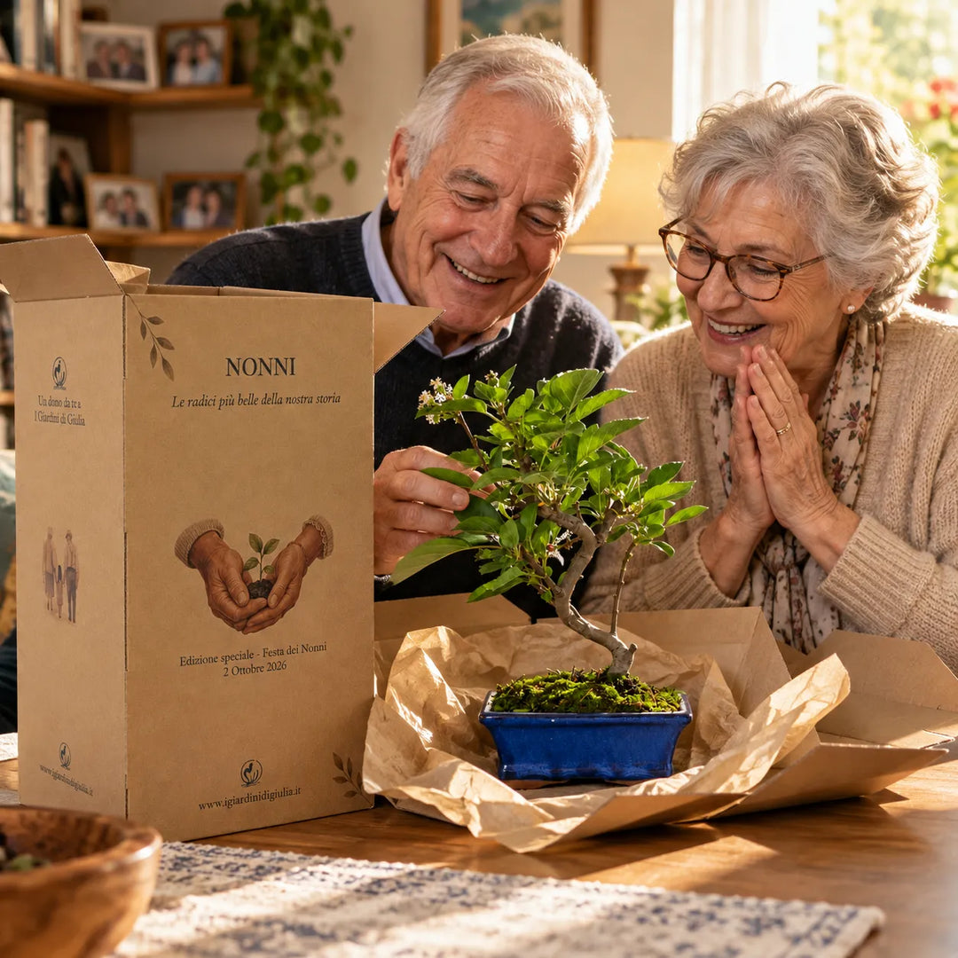 Nonni che scoprono il Bonsai Melo di 7 anni nella confezione regalo dedicata alla Festa dei Nonni