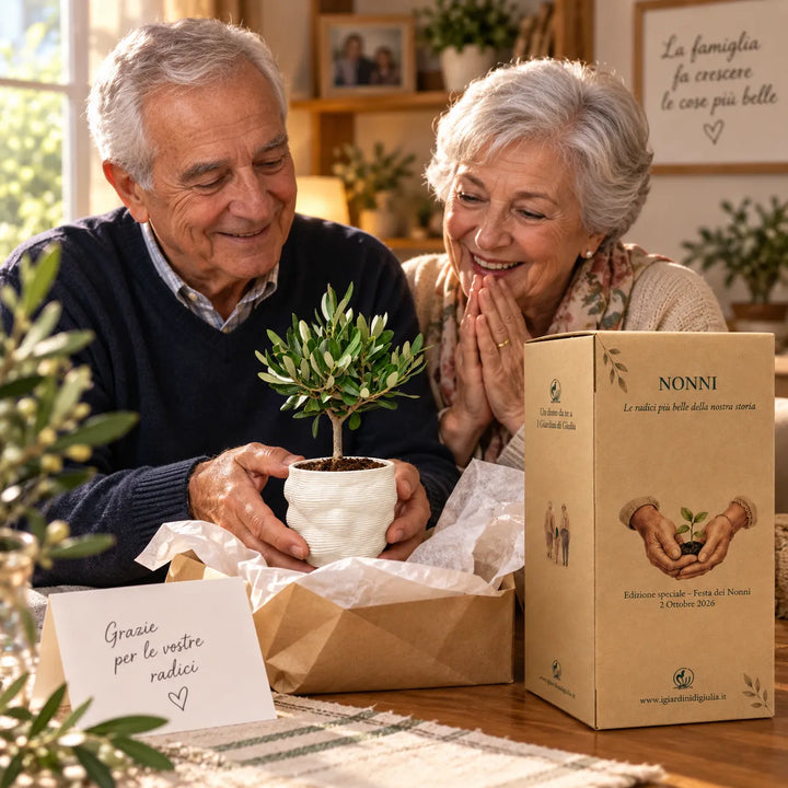 Nonni che ricevono un Bonsai Olivo in vaso Alba in argilla pregiata con confezione regalo Festa dei Nonni