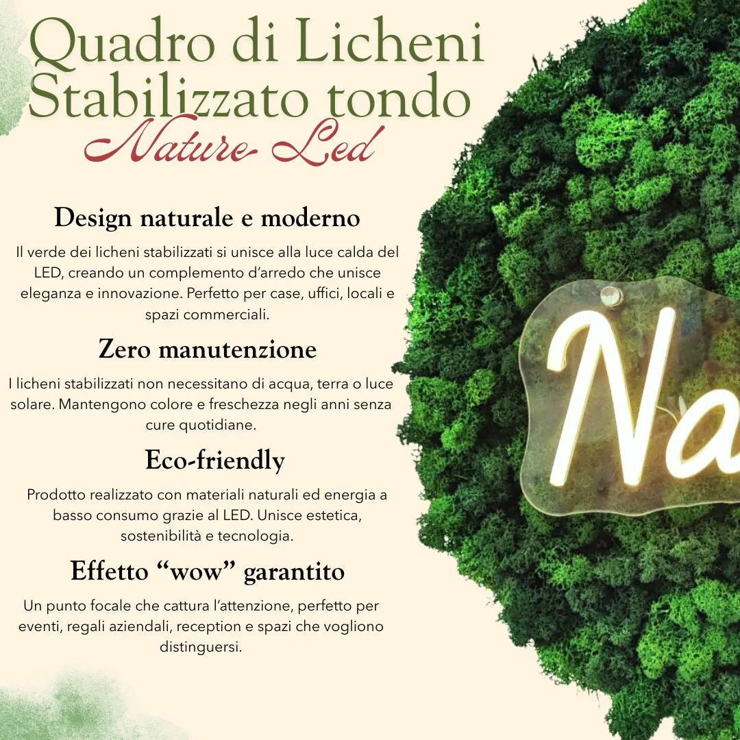 Informazioni sul quadro licheni stabilizzati LED - caratteristiche e benefici del verde stabilizzato