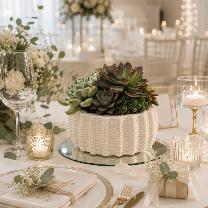 Composizione di piante grasse in vaso Dioniso bianco utilizzata come centrotavola elegante per eventi, matrimoni e decorazioni green.