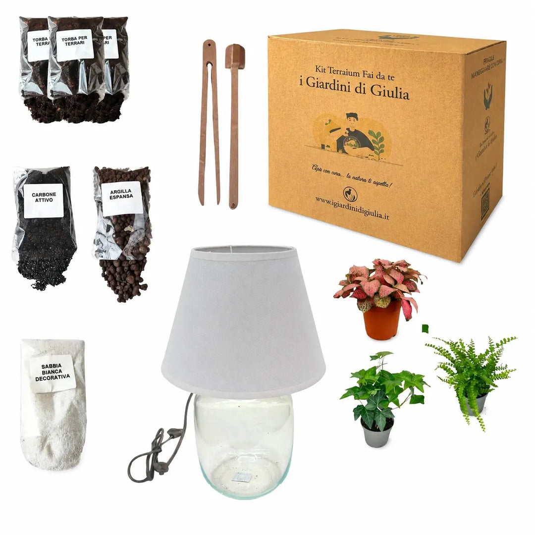 Kit de terrarium Lamparium moyen avec plantes vertes