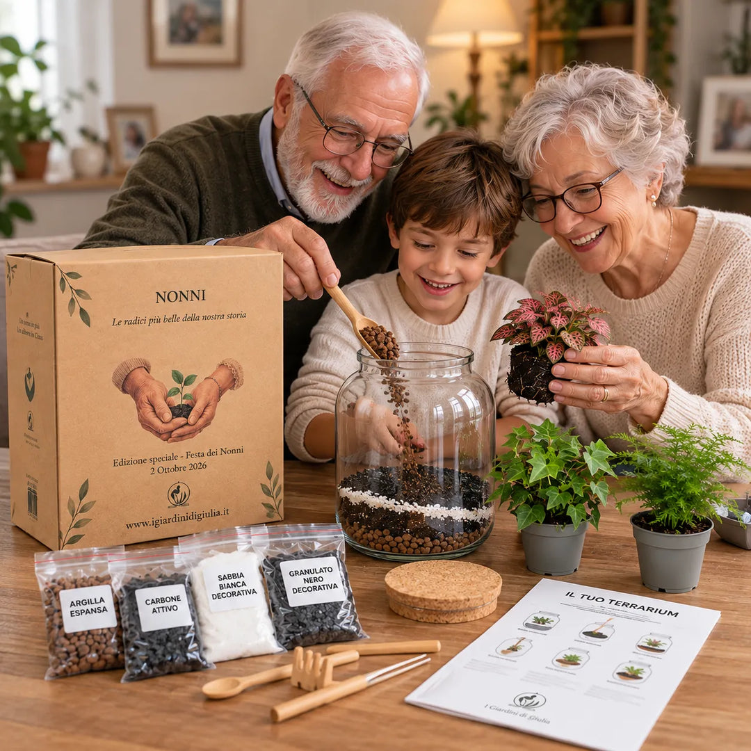 Kit Fes-ho Tu Mateix Terrari Complet - Crea el Teu Mini Jardí Elegant