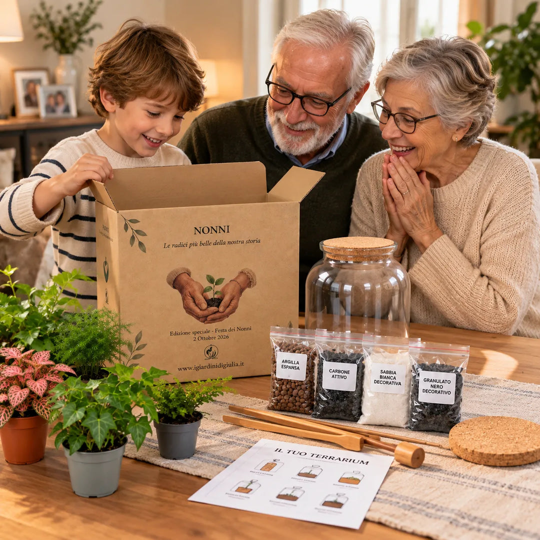 Kit Fes-ho Tu Mateix Terrari Complet - Crea el Teu Mini Jardí Elegant