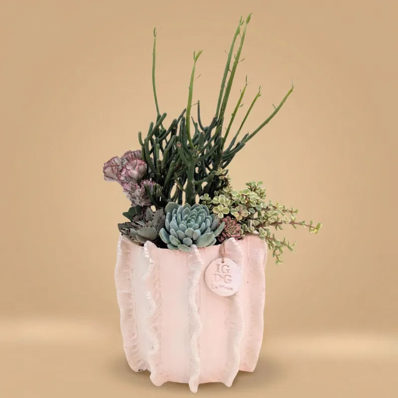 composizione di piante grasse in vaso bianco su sfondo beige 
