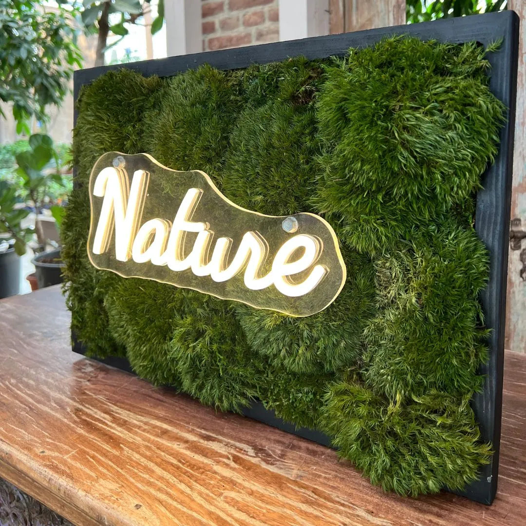 Quadro muschio stabilizzato LED - vista laterale del quadro con cornice nera su un tavolo di legno