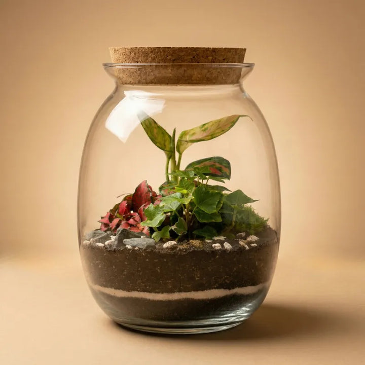 Terrarium Piante Verdi 084 - Vista frontale con piante lussureggianti