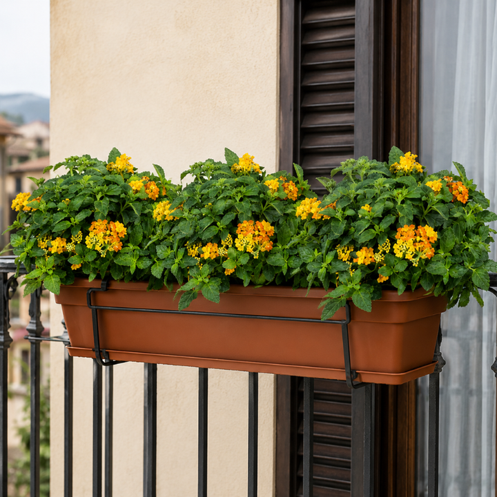 Fioriera rettangolare con piante di Lantana gialla e arancione installata su balcone esterno.