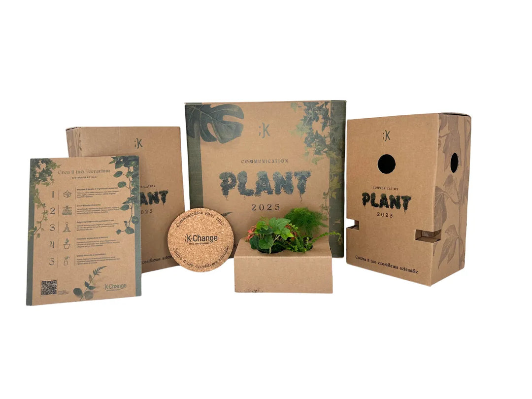 Kit Terrarium Fai da Te K-Change - i Giardini di Giulia  