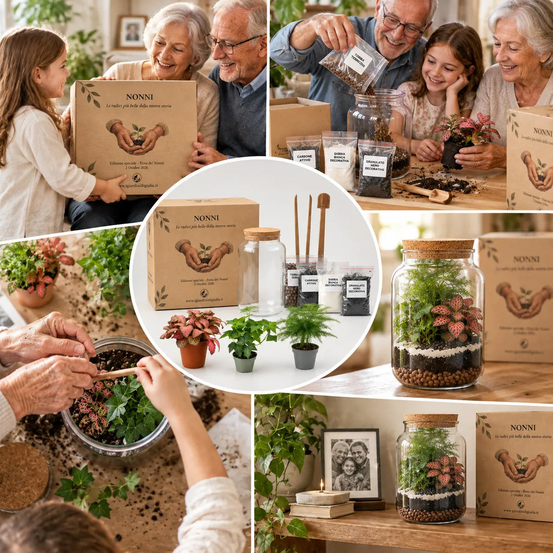 Kit Terrarium fai da te piccolo con scatola regalo, componenti inclusi e fasi di composizione del terrarium insieme ai nonni