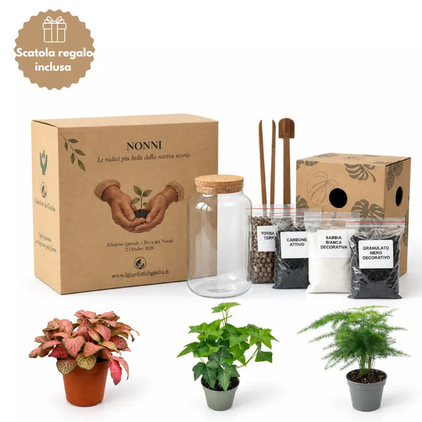 DIY Terrarium Sæt Nadia | Skab Din Egen Indendørs Have